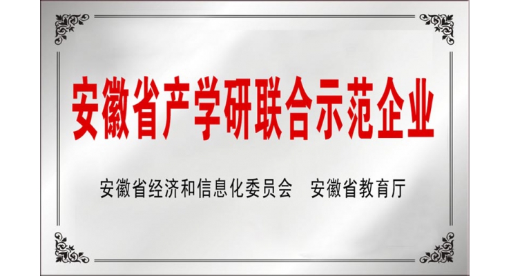 安徽省产学研联合示范企业